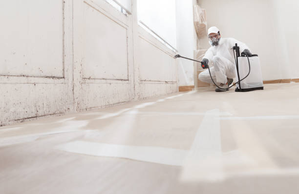24/7 Emergency Black Mold Remediation experts in Totowa, NJ