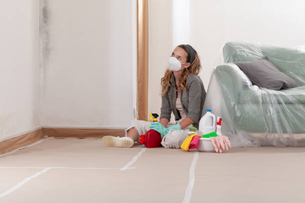 Reliable Black Mold Remediation contractor in Totowa, NJ by 24 Hour Mold Removal